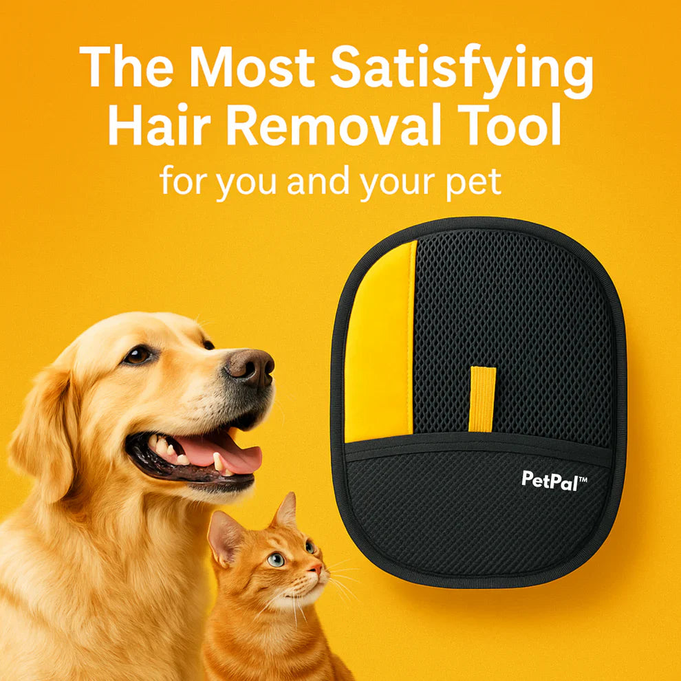 PawCleanPro™ #1 Best Selling Pet Cleaning Glove